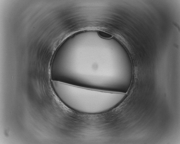 X0000101121428200806261035