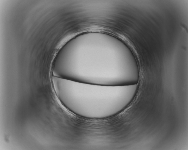 X0000101121429200806261035