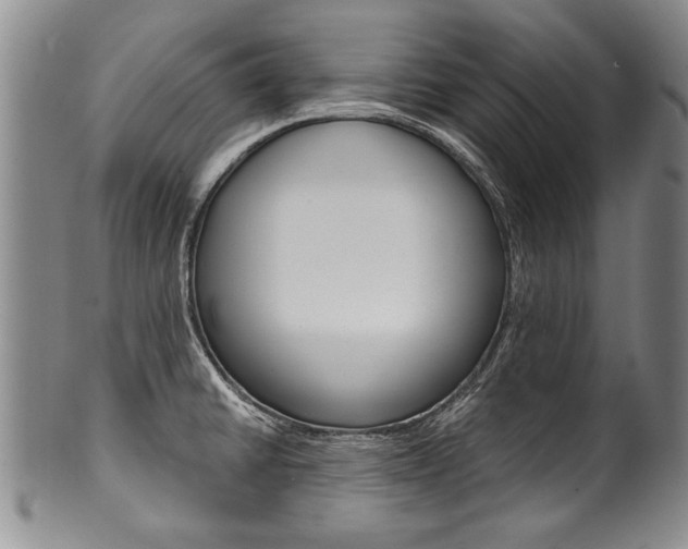X0000101121430200806261035