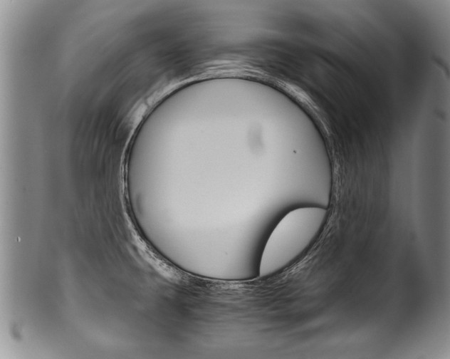 X0000101121431200806261035