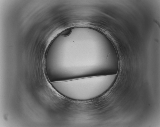 X0000101121432200806261035