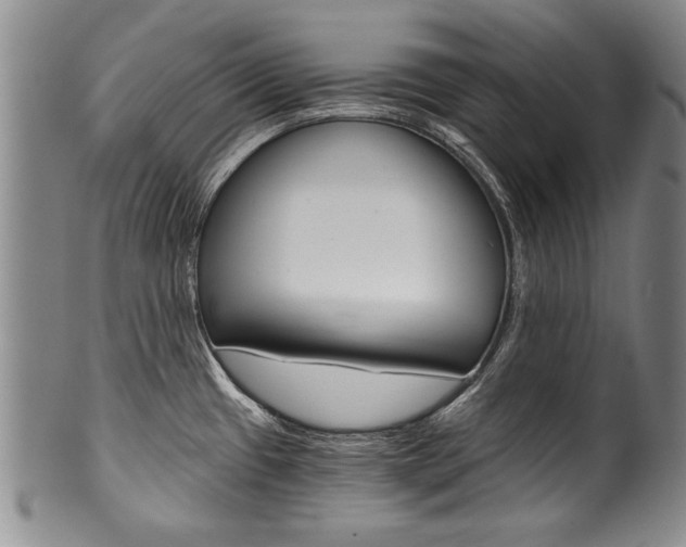 X0000101121433200806261035