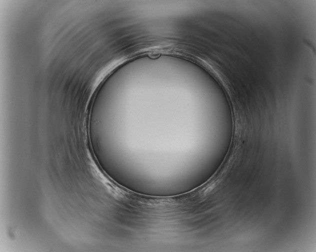 X0000101121434200806261035