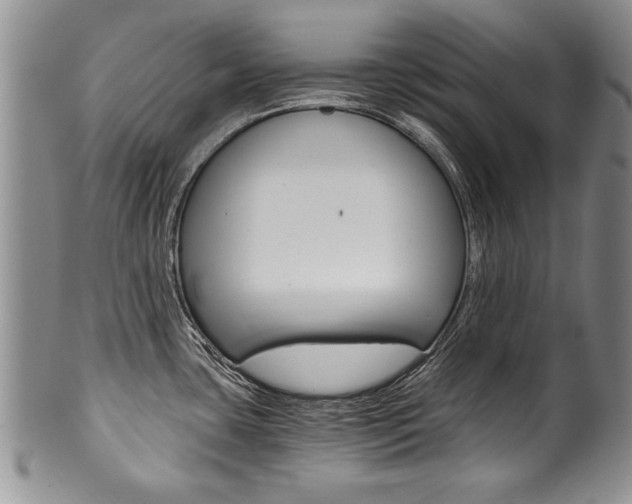X0000101121435200806261035