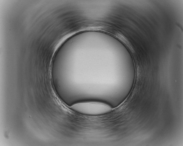 X0000101121436200806261035