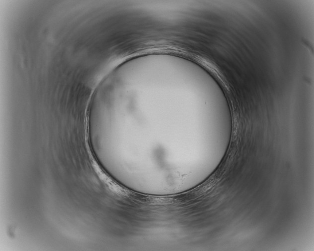 X0000101121439200806261035