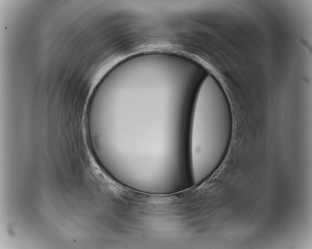X0000101121440200806261035