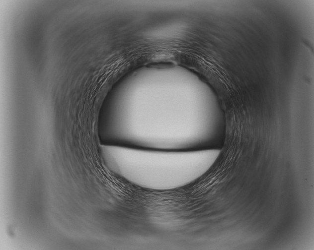 X0000101121441200806261034