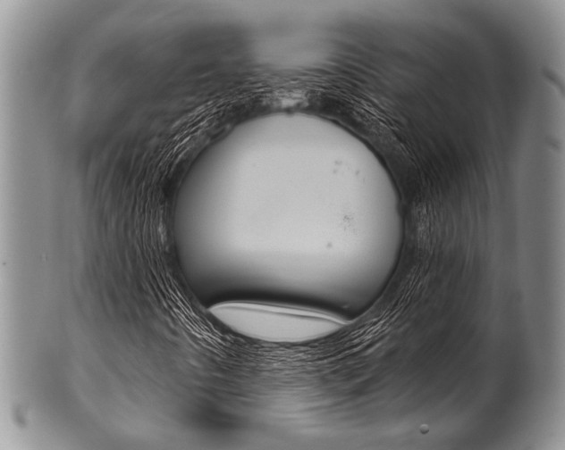 X0000101121442200806261034