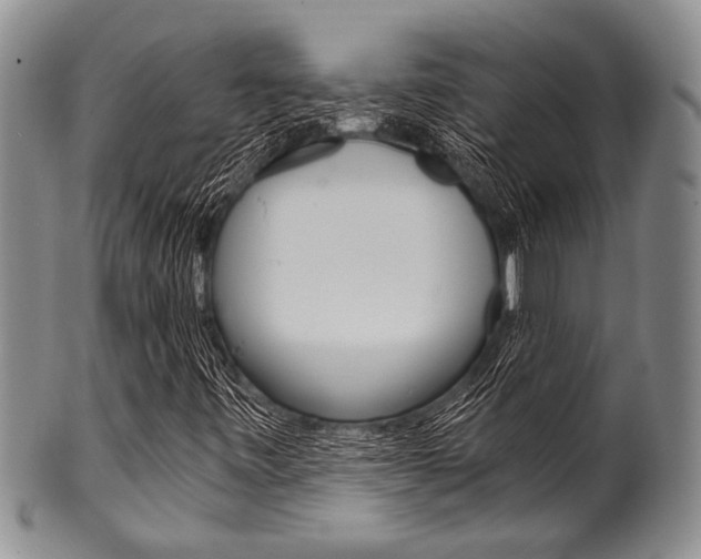 X0000101121443200806261034