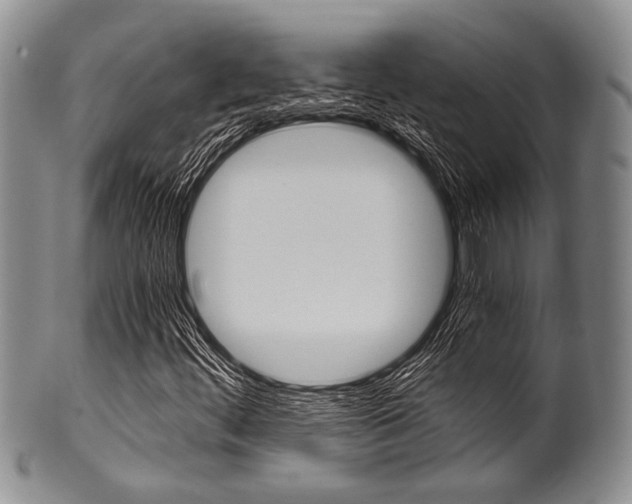 X0000101121444200806261034