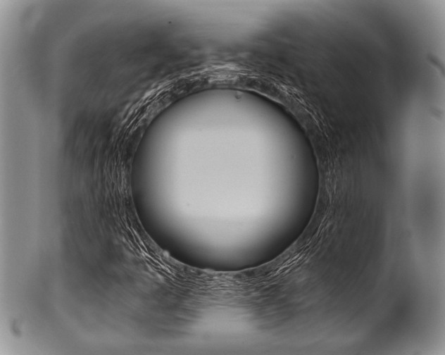 X0000101121445200806261034