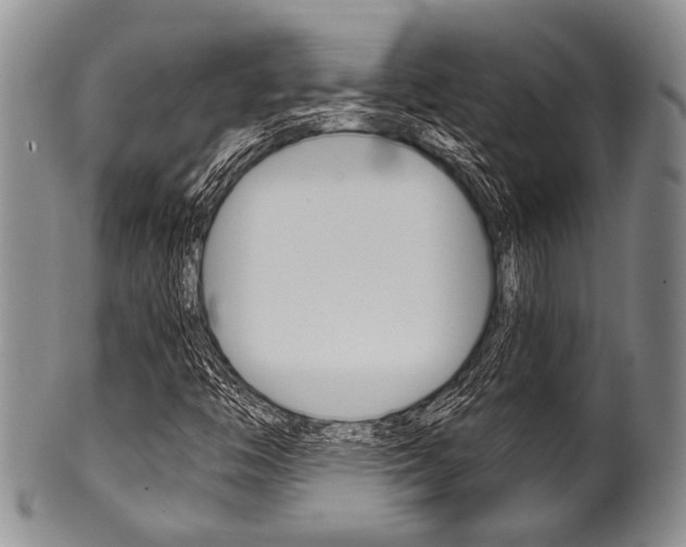 X0000101121446200806261034