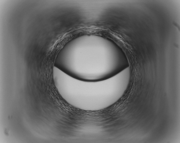 X0000101121447200806261034