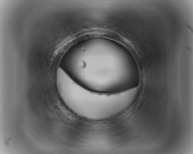 X0000101121448200806261034