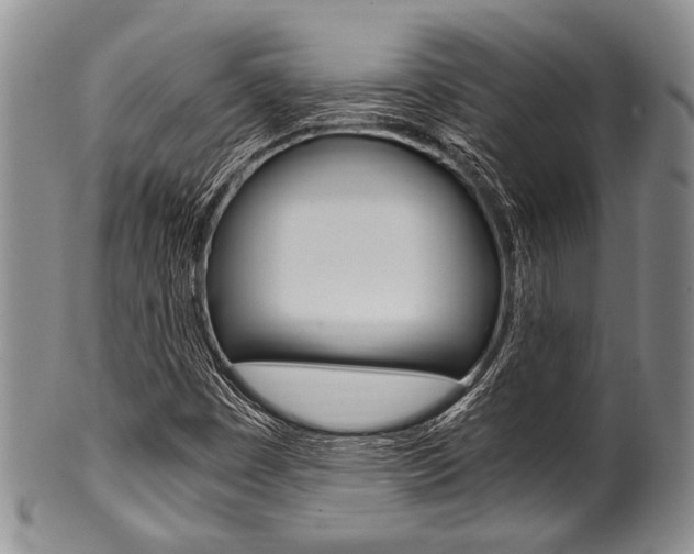 X0000101121449200806261034