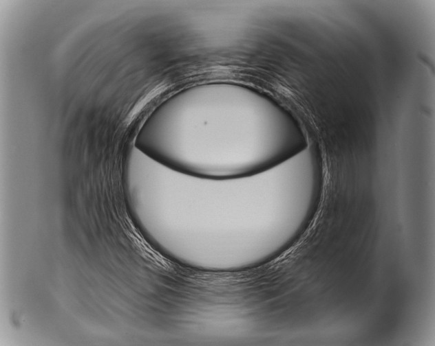 X0000101121450200806261034