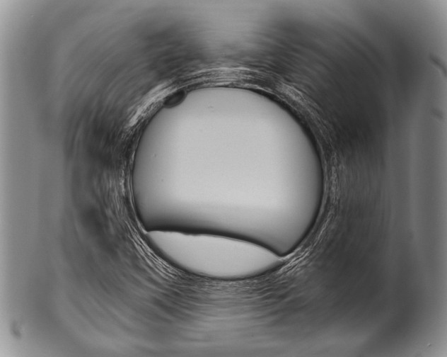 X0000101121451200806261034