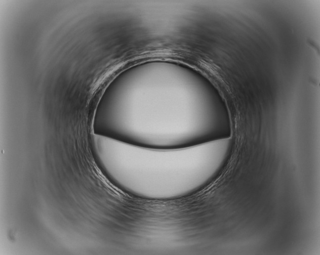 X0000101121452200806261034