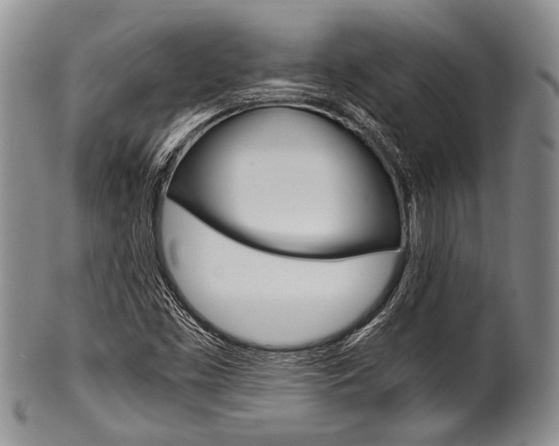 X0000101121453200806261034