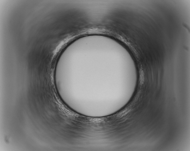 X0000101121454200806261034