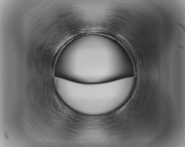 X0000101121457200806261034