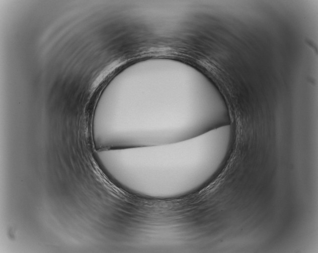 X0000101121458200806261034