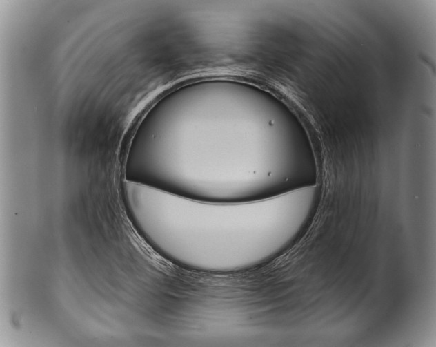 X0000101121460200806261034