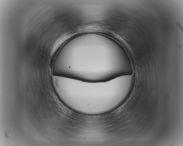 X0000101121461200806261034