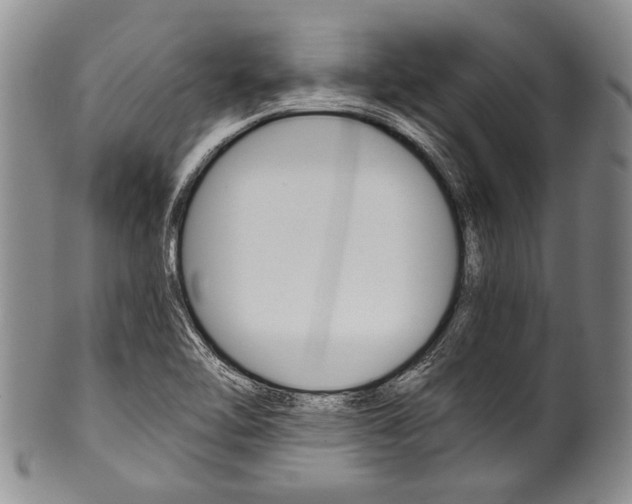 X0000101121462200806261034