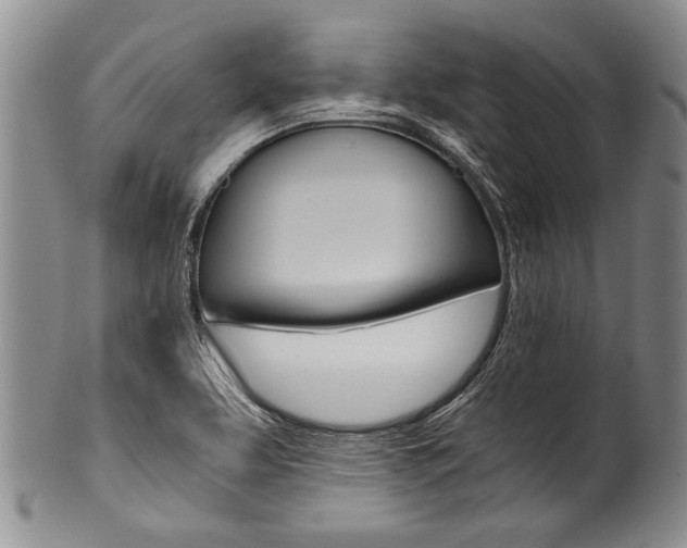 X0000101121463200806261034