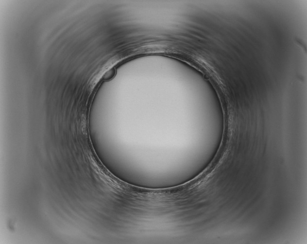 X0000101121465200806261034