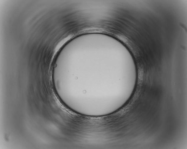 X0000101121466200806261034