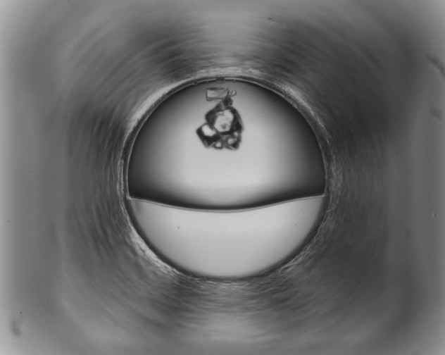 X0000101121468200806261034