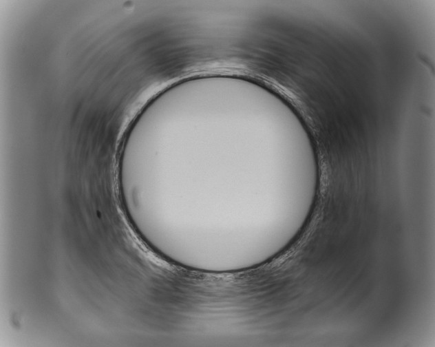 X0000101121470200806261034