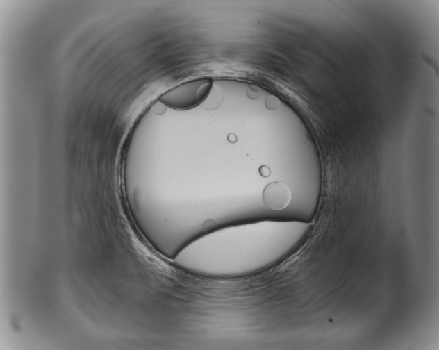 X0000101121471200806261034