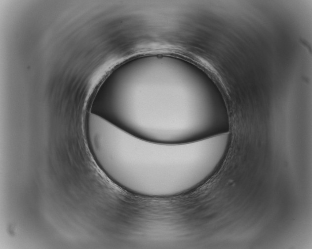 X0000101121472200806261034