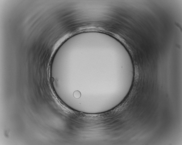 X0000101121474200806261034