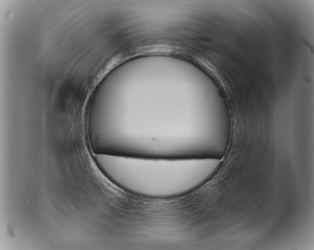 X0000101121475200806261034