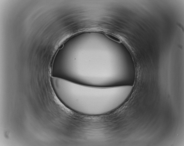 X0000101121476200806261034
