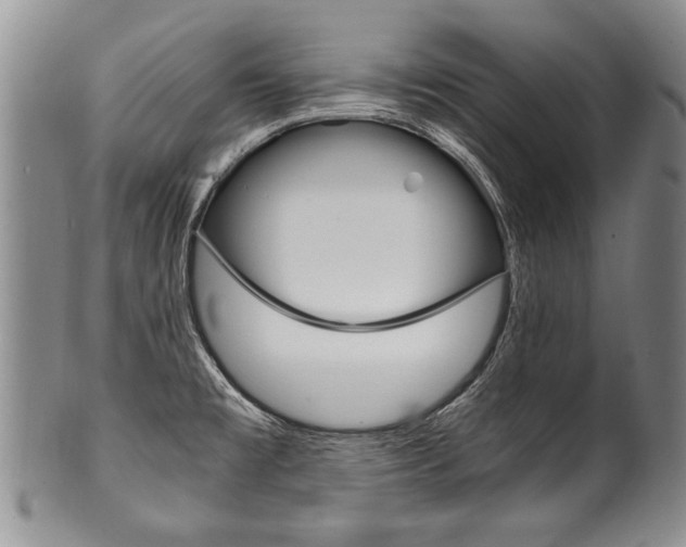 X0000101121477200806261034