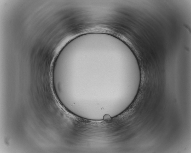 X0000101121478200806261034