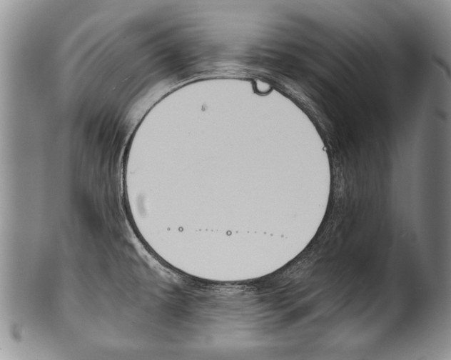 X0000101121479200806261034