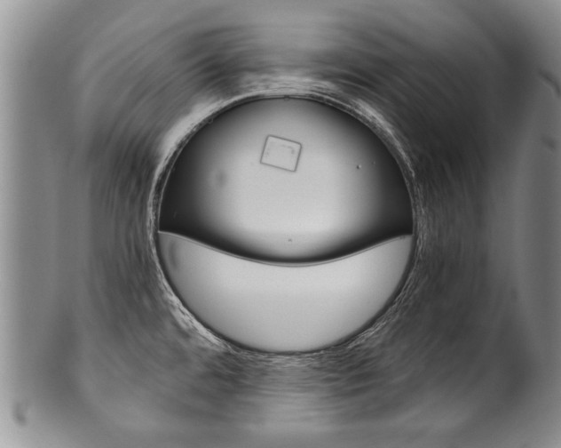 X0000101121480200806261034