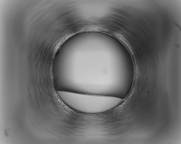 X0000101121481200806261034
