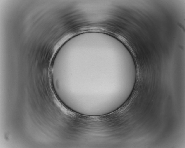 X0000101121482200806261034