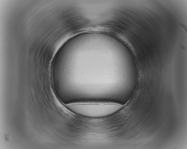 X0000101121483200806261034