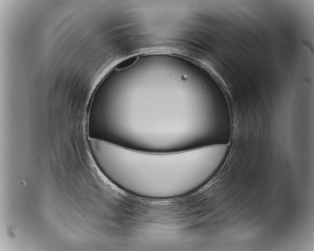 X0000101121484200806261034