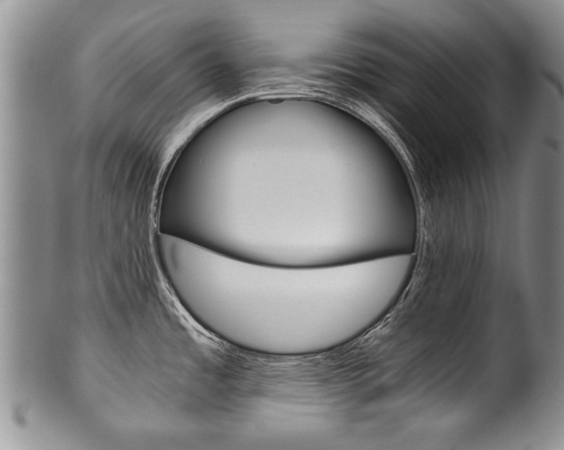 X0000101121485200806261034