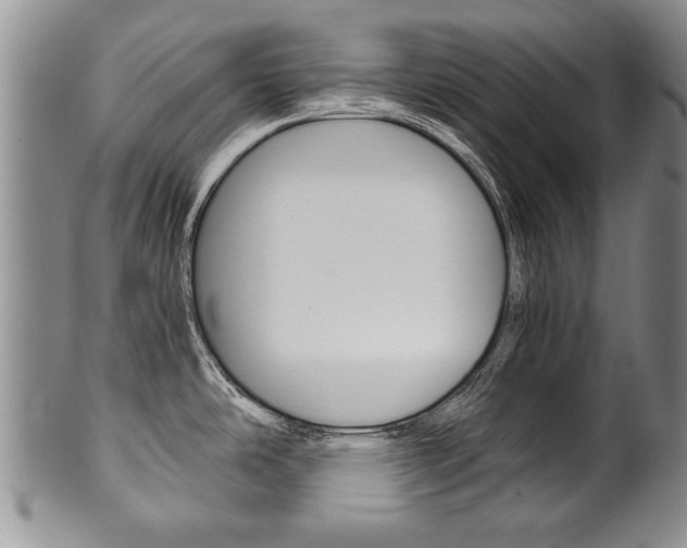 X0000101121486200806261034